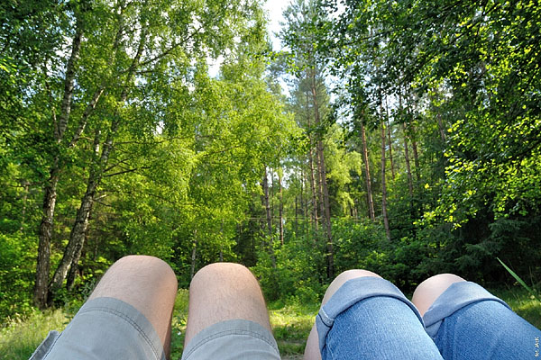 TU i TAM - zielony zakątek